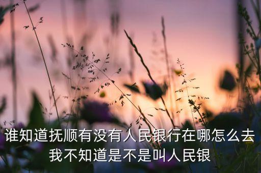 誰知道撫順有沒有人民銀行在哪怎么去我不知道是不是叫人民銀