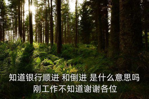 進貸的進的意思是什么，基礎會計書中的借記什么貸記什么怎么理解是借入貸出還是借