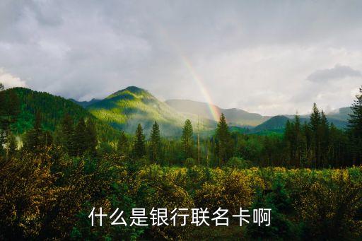 什么是銀行聯(lián)名卡啊