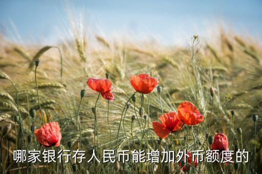 哪家銀行存人民幣能增加外幣額度的
