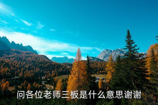 三板賬戶什么意思，炒股里面的三板業(yè)務(wù)是什么意思