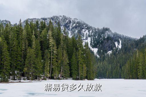 薪易貸多久放款