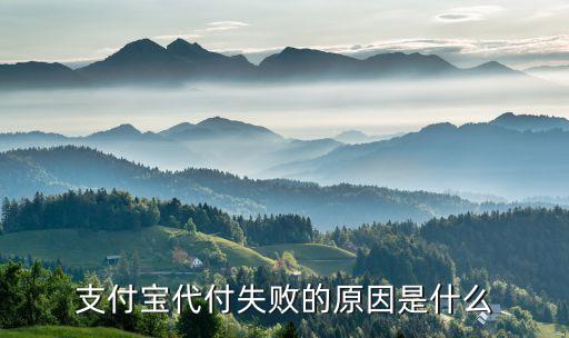 支付寶代付失敗的原因是什么