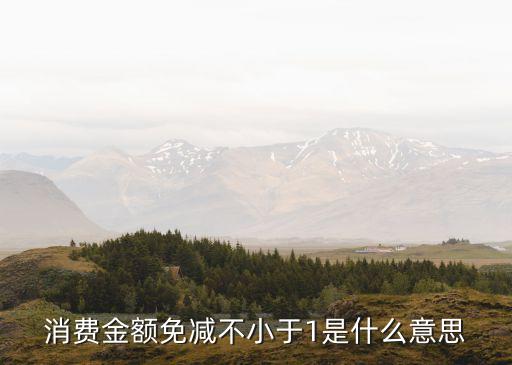 消費金額免減不小于1是什么意思