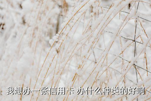 信用卡申請(qǐng)什么類型的，辦理什么樣的信用卡比較好