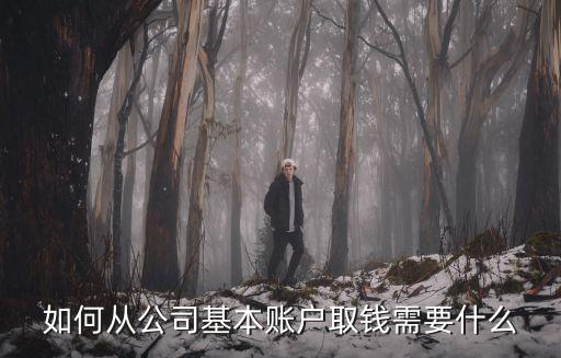 如何從公司基本賬戶取錢需要什么