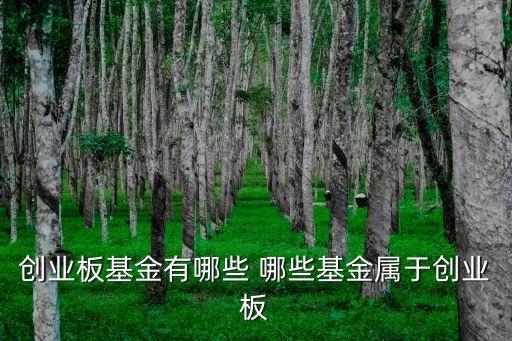 創(chuàng)業(yè)板基金有哪些 哪些基金屬于創(chuàng)業(yè)板