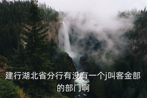 建行湖北省分行有沒有一個j叫客金部的部門啊