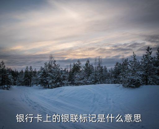 銀行卡上的銀聯(lián)標記是什么意思