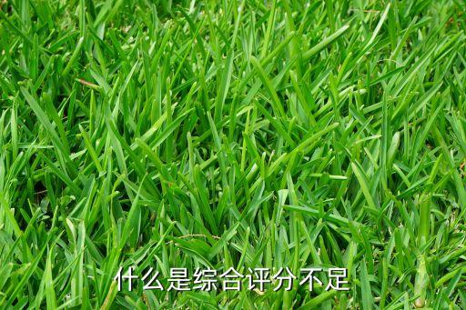 綜合評(píng)估不足什么意思，綜合評(píng)分不足是什么