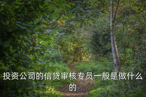 投資公司的信貸審核專員一般是做什么的