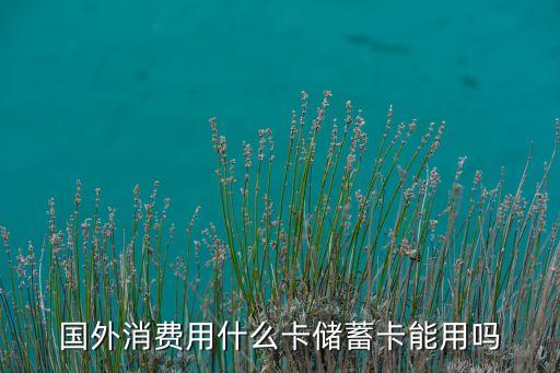 國外購物用什么卡，出國購物刷什么卡