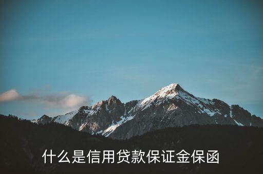 什么是信用貸款保證金保函