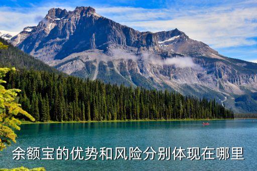 余額寶的優(yōu)勢(shì)和風(fēng)險(xiǎn)分別體現(xiàn)在哪里