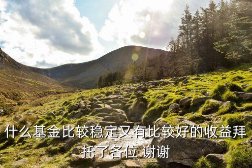 什么樣的基金最穩(wěn)，買什么類型的基金穩(wěn)定點