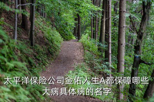 金佑人生有什么受益，太平洋保險金佑人生怎么樣具體有哪些保障