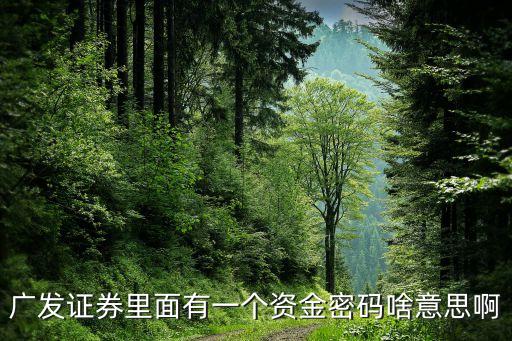 廣發(fā)資金密碼是什么意思，廣發(fā)證券資金密碼默認是幾位