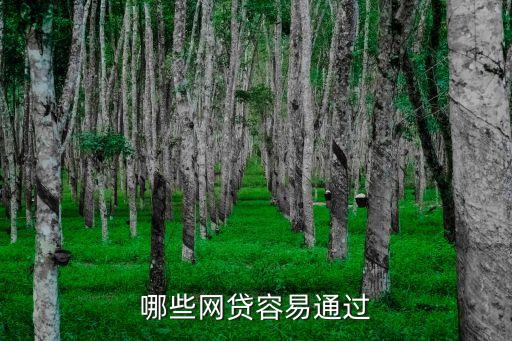 什么小貸好通過審核，審核最容易過的貸款app有哪些
