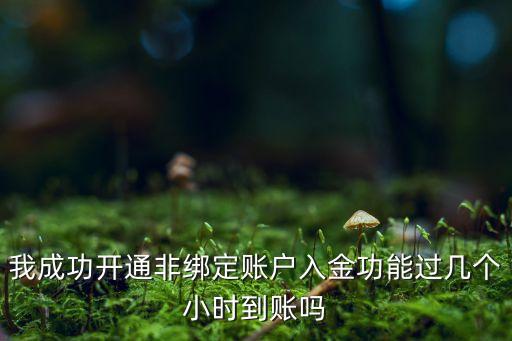 我成功開通非綁定賬戶入金功能過幾個小時到賬嗎