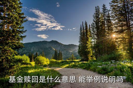 基金里贖回什么意思，基金的贖回是指什么啊