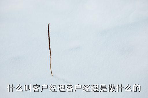 客戶經(jīng)理是做什么的，什么叫客戶經(jīng)理客戶經(jīng)理是做什么的