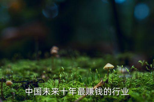 中國十年后什么最值錢，十年后中國最貴的是什么最便宜的是什么