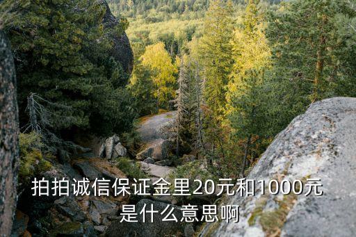 拍拍誠信保證金里20元和1000元 是什么意思啊
