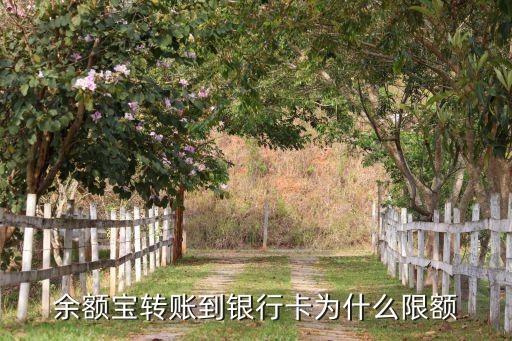 余額寶為什么限額轉(zhuǎn)出，銀行卡向余額寶轉(zhuǎn)賬為什么會(huì)限額 是什么原因