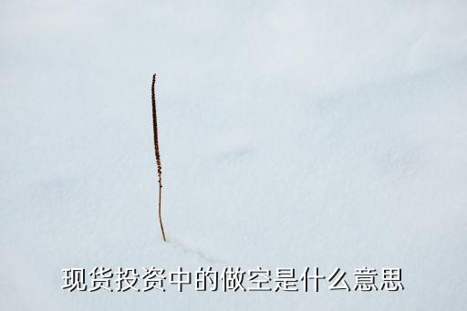 現(xiàn)貨投資中的做空是什么意思