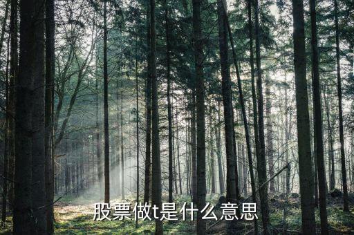 股票t是啥意思是什么意思是什么意思，股票里做T是什么意思