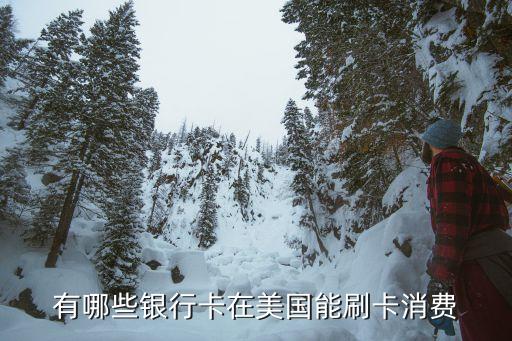 有哪些銀行卡在美國(guó)能刷卡消費(fèi)