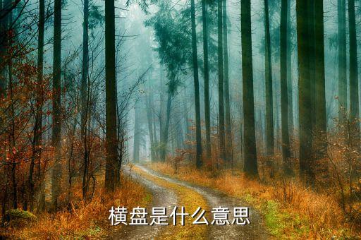 橫盤是什么意思