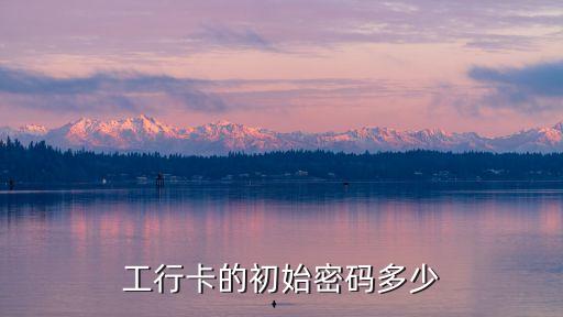工商銀行的原始密碼是什么，工行u盾原始密碼是什么