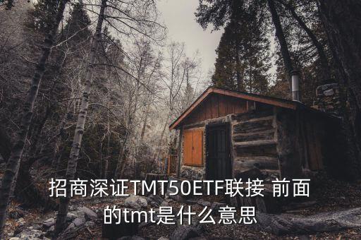 深tmt是什么，招商深證TMT50ETF聯(lián)接 前面的tmt是什么意思