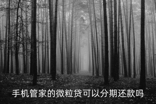 手機(jī)管家的微粒貸可以分期還款嗎