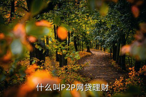 線上p2p理財(cái)是什么意思，什么叫P2P網(wǎng)貸理財(cái)