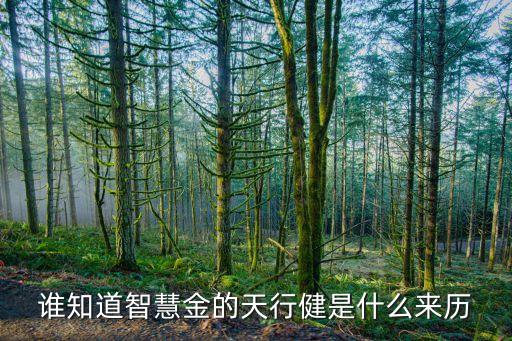 什么是智能金，建行智能基金定投啥意思