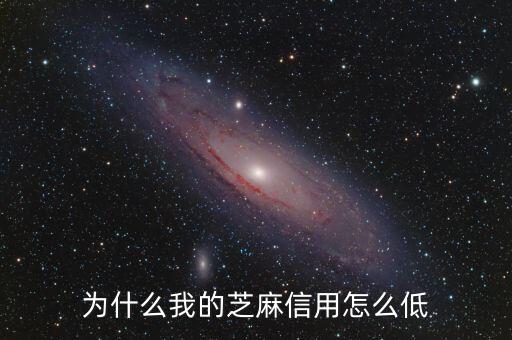 為什么我的芝麻信用怎么低