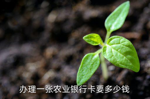 辦理一張農(nóng)業(yè)銀行卡要多少錢