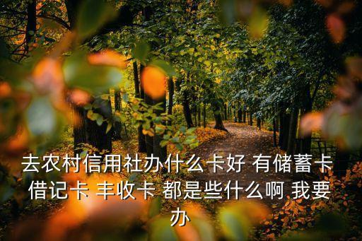 在信用社能辦什么卡，去農(nóng)村信用社辦什么卡好 有儲(chǔ)蓄卡 借記卡 豐收卡 都是些什么啊 我要辦
