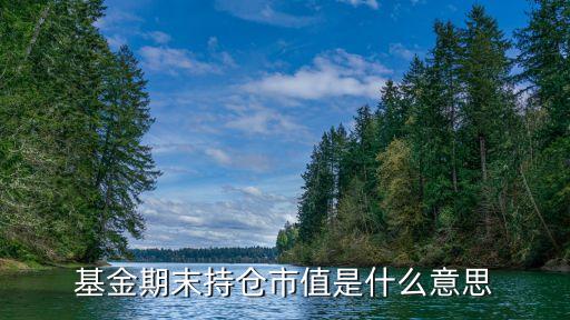基金期末持倉市值是什么意思