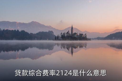 貸款綜合費率2124是什么意思