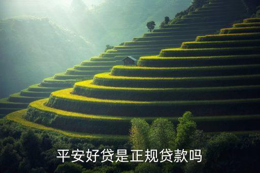 平安好貸是什么東西，平安好貸是不是真的