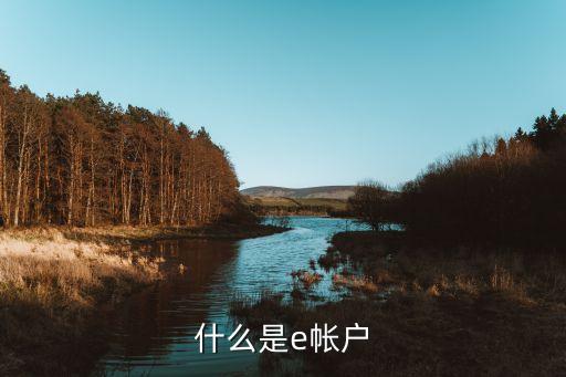 浙商銀行e卡是什么意思，e卡是什么 我
