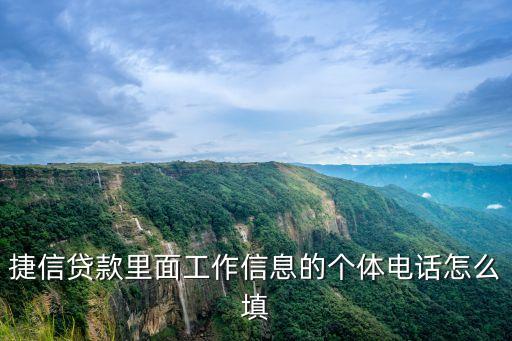 捷信貸款里面工作信息的個(gè)體電話怎么填