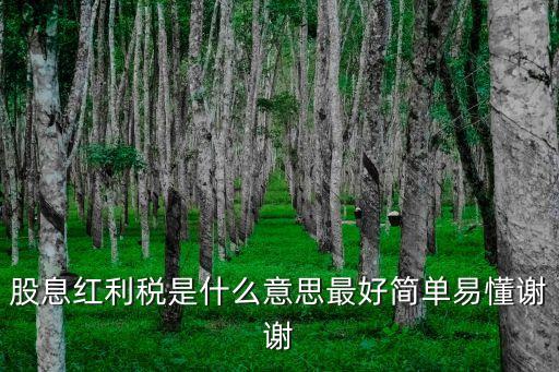 什么是股息紅利稅，股息紅利稅是什么意思最好簡單易懂謝謝