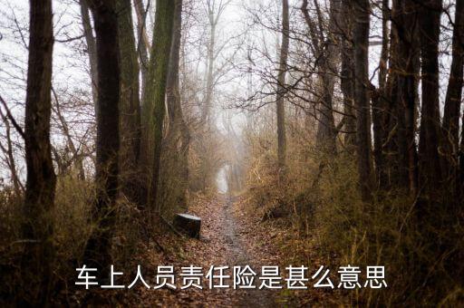 車險車上人員是什么，車上人員責(zé)任險什么意思
