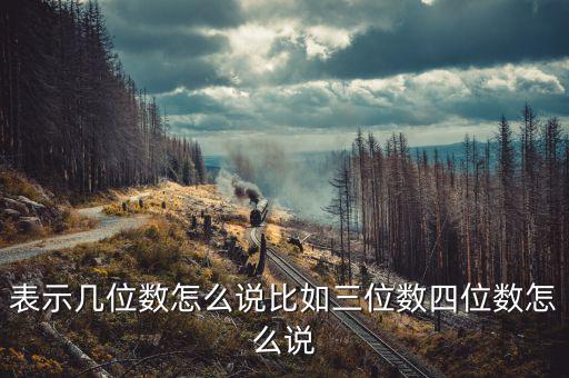 表示幾位數(shù)怎么說比如三位數(shù)四位數(shù)怎么說