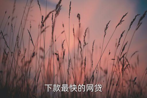 有什么馬上下款的網(wǎng)貸，網(wǎng)貸能做的有哪些馬上下款的