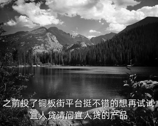 之前投了銅板街平臺(tái)挺不錯(cuò)的想再試試宜人貸請(qǐng)問宜人貸的產(chǎn)品